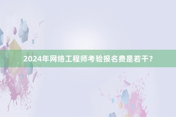 2024年网络工程师考验报名费是若干？